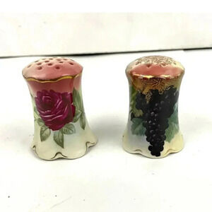 VTG Rosenthal Madeleine Bavarian Porcelain Salt‎ and Pepper Shakers Roses Grapes